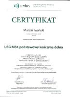 iwański
